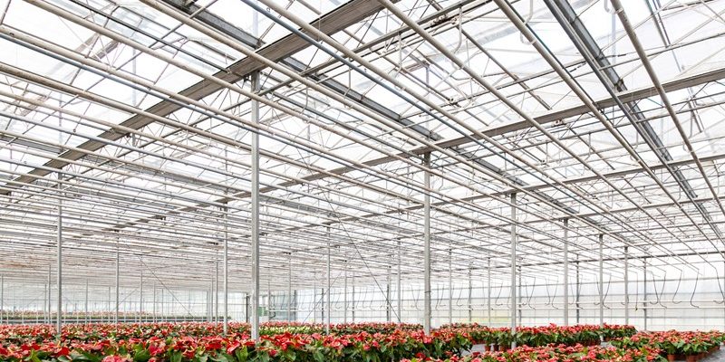 Fiscale klimaatmaatregelen glastuinbouw